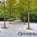 샘골공원2 여성종합뉴스