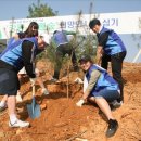 희망나무심기5 이미지