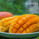 마하 주식회사 이미지