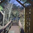 엘비스 펜션 이미지