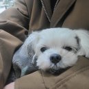 바우미우동물병원 이미지