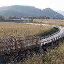 벌교금융조합 이미지