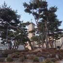 단계서길-2 네이버블로그