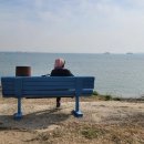 미리캔버스로 블로그만들기 이미지