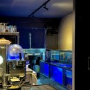 홍개 | 범어동 가성비 횟집! 팔딱팔딱회 스끼/웨이팅 (내돈내산)