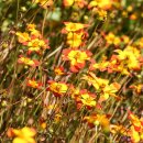 영어의정석 이미지