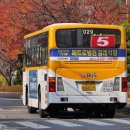 달안초 건너편 이미지