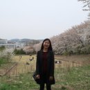 대전/세종/충청남도 가볼만한곳 46곳, hwa&#39;s note