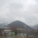 새마을종묘 이미지