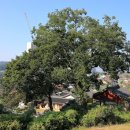 남원 금남재 이미지