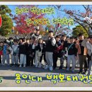 용인대윙스태권도장 이미지