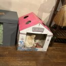 죽림유치원 | [경북 문경] 죽림주간 11월 초 촌캉스 힐링여행 내돈내산 후기