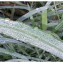 운동농장 이미지