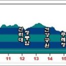 주례편백림 이미지