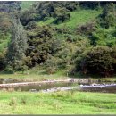 섬진강이 보이는 집 이미지