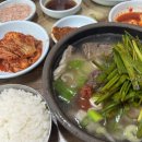 합천농업협동조합 | 내돈내산 부산 미슐랭 돼지국밥 맛집, 깔끔한 국물의 정점 생생후기![부산 합천국밥집]