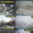 대한마켓 이미지