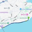 10 | 경기신문 씨사이드 마라톤 10k 후기