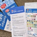 땡큐멍냥 | 밥이보약 소변검사키트 고양이 소변검사 후기 셀프건강검진
