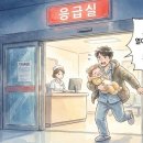 1004 약국 이미지