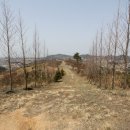 상하면사무소 이미지