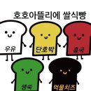 호호아뜰리에 이미지