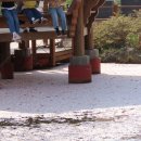 탑1리경로당 이미지