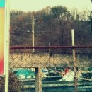 맛질송어회 이미지