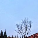 강천하루 이미지