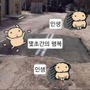 너의여행기록 네이버블로그
