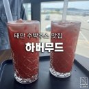 하버무드 이미지