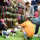 개린이집 이미지