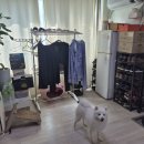 중앙동236 이미지