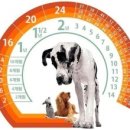 쓰담쓰담 동물병원 이미지