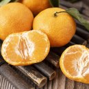 한사랑이비인후과의원 이미지