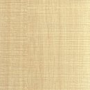 Sera(세라)