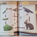잡아잡아 이미지