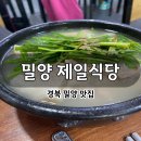 제일백반 | 밀양 돼지국밥 맛집 밀양제일돼지국밥 – 허영만 백반기행 출연 토렴식 국밥 후기