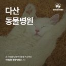 다산동물병원 네이버블로그