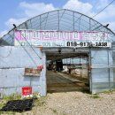 해피연이네다육 이미지