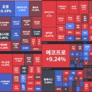 (주)셀루메드 이미지