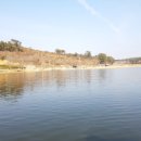 대요낚시터 이미지