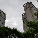 솔 공인중개사사무소 이미지