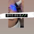 에르떼앙 에스테틱