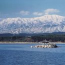 석호로108~석호공원로8 주변 | 경포대와 경포호(鏡浦臺와 鏡浦湖)