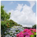 청수6로 이미지