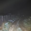 사랑1호 태양광발전소 이미지