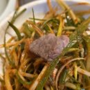 서쪽집 | [내돈내산] 제주 찐 흑돼지집(제주토종) : 연리지가든 : 제주서쪽 흑돼지집 후기!