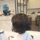 모던파마 네이버블로그
