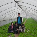 김태경 농장 이미지